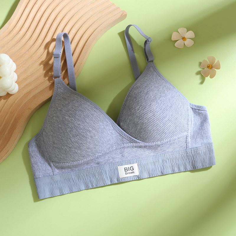 Franse stijl zomer bh van kato - Embroidery Ai recensie en prijs