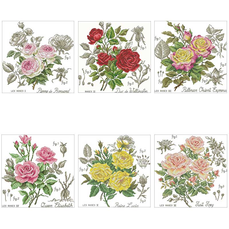 Shadow Rose Patronen Geteld 11 - Embroidery Rose Stitch recensie en prijs